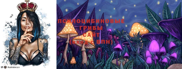 ALPHA PVP Богородицк